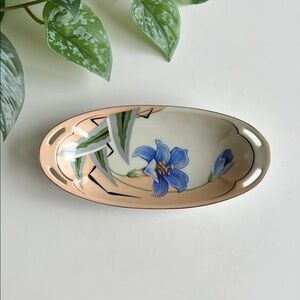 Vintage RS Germany Hand Painted Floral Dish Decor